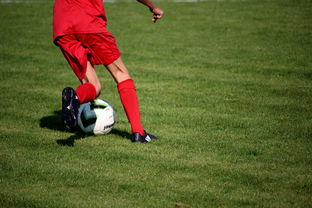 开云kaiyun-球队在小组赛中展现稳固防守体系，球队防守效率高好还是低好